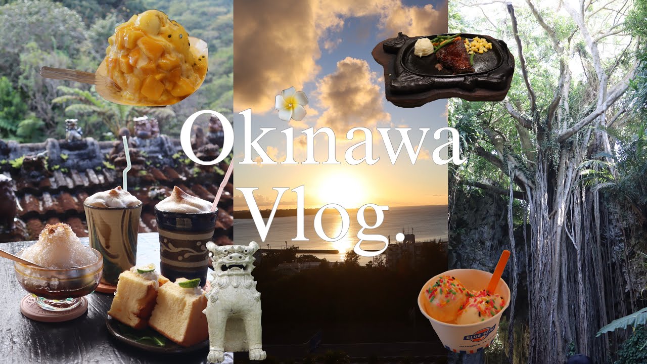 【vlog】3泊4日沖縄旅行🌺🌴 / 家族で巡る沖縄の景色とごはん / アメリカンビレッジ/ガンガラーの谷/道の駅 