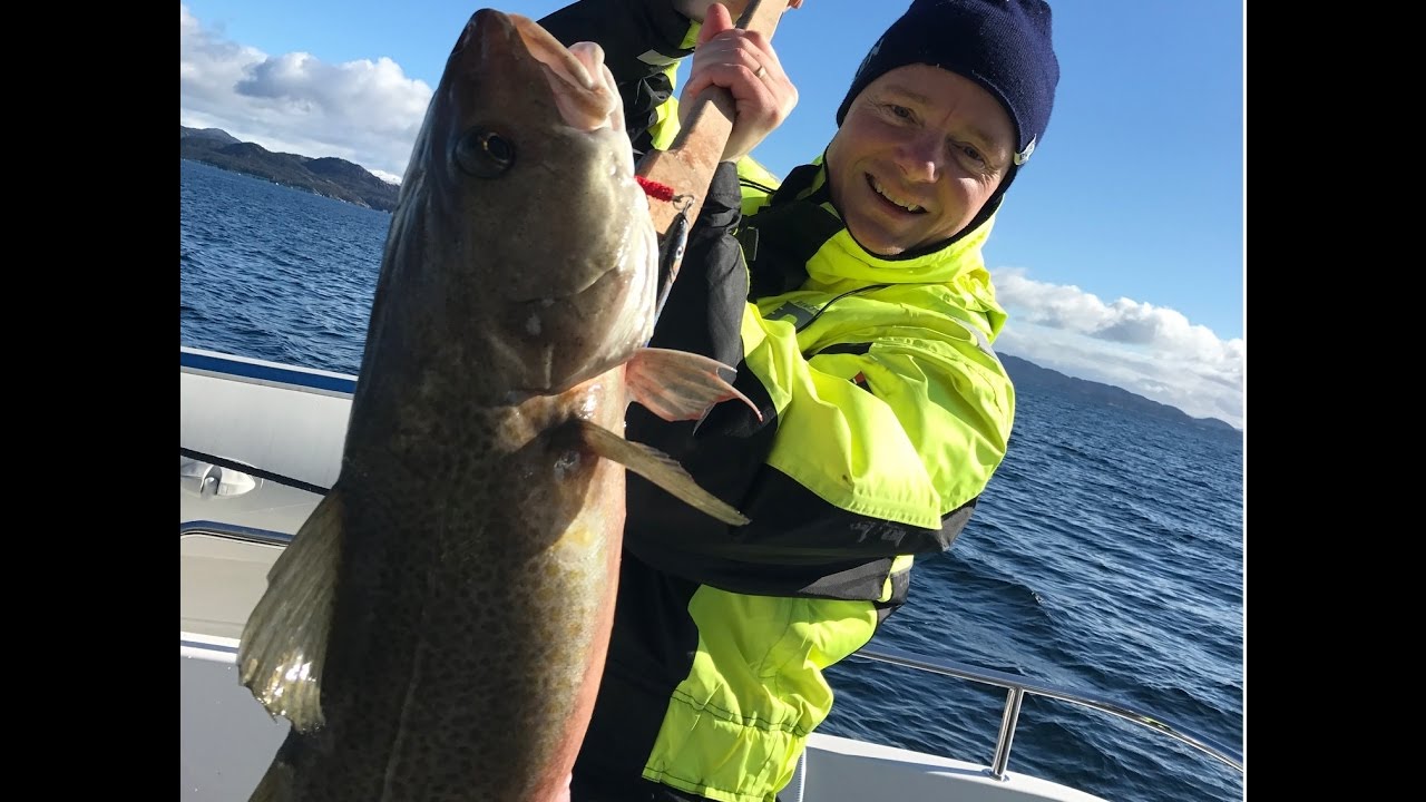 Stortorsk i Ler&oslash;yosen og flotte brosmer p&aring; line