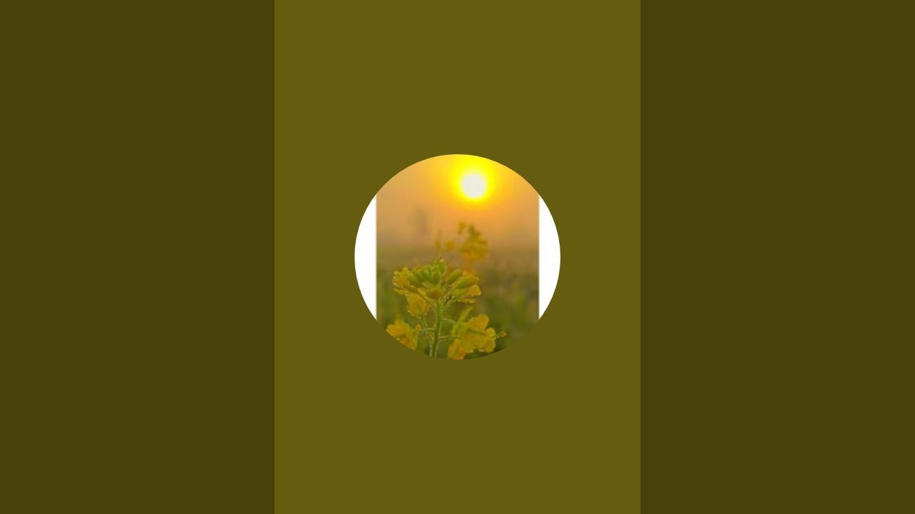 SHAN _FARMER🌾 is live!