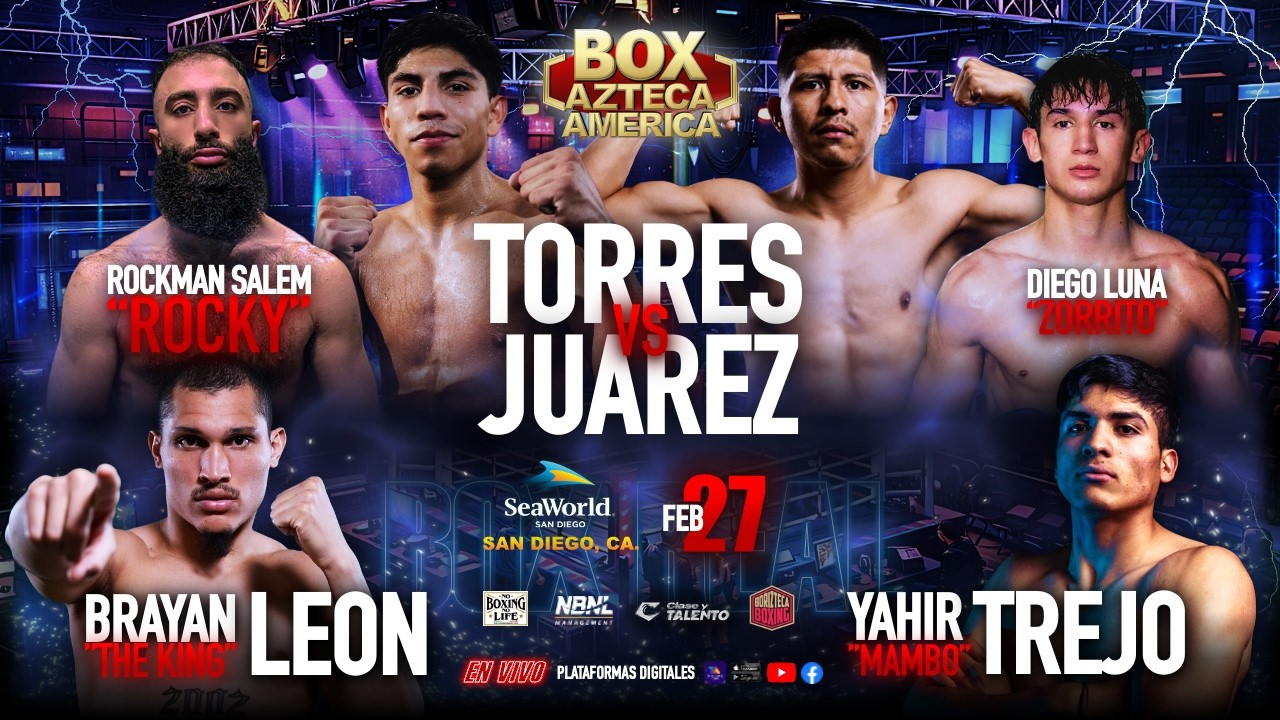 Box Real | No Boxing No Life 
