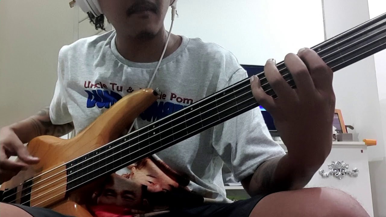 หมดแก้ว  The Parkinson  ( bass cover )