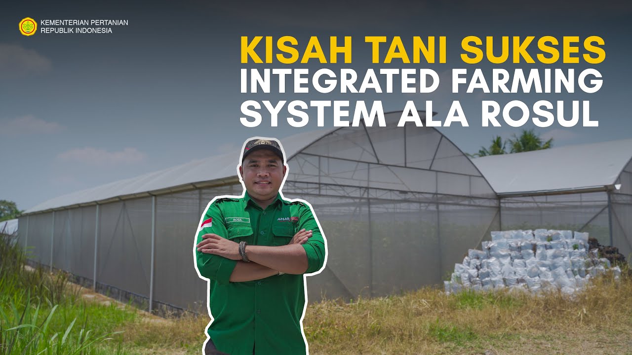 PULANG DARI IBUKOTA KE DESA, BANGUN INTEGRATED FARMING SYSTEM