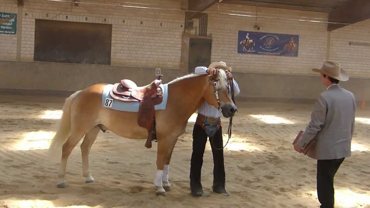 FN-Qualifikation Reining DM 2012 - Emanuel Ernst mit Haflinger Nico