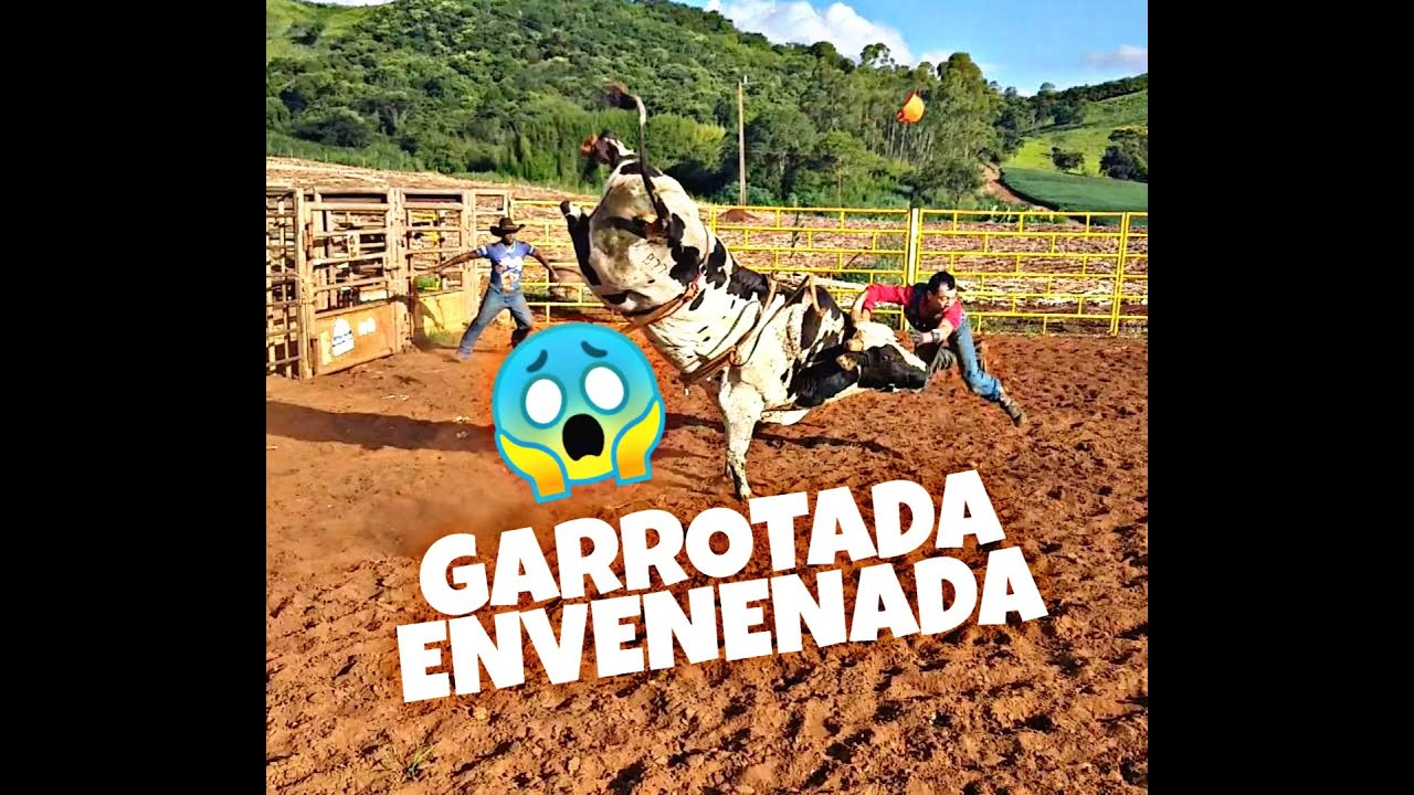 RODEIO EM TOUROS - Treino na cia de rodeio Célio França - Dourados ms