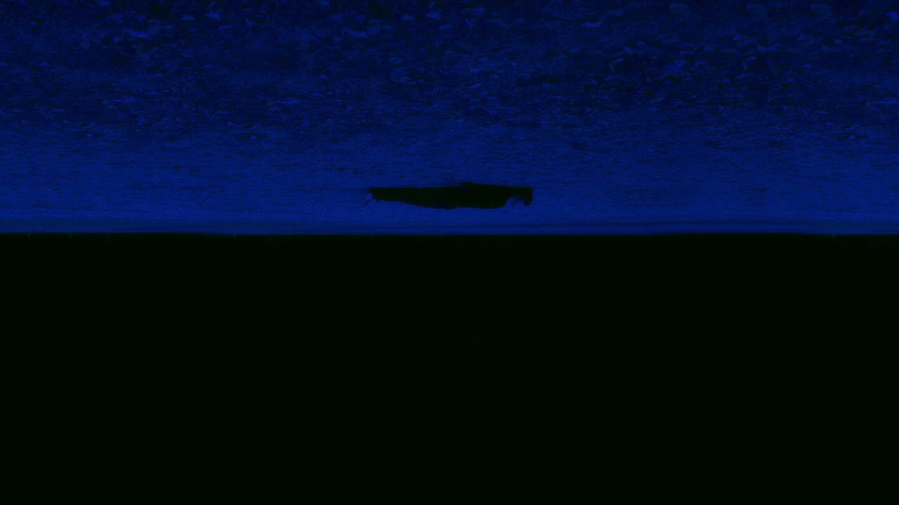 KIXO 키조 - Alone Again