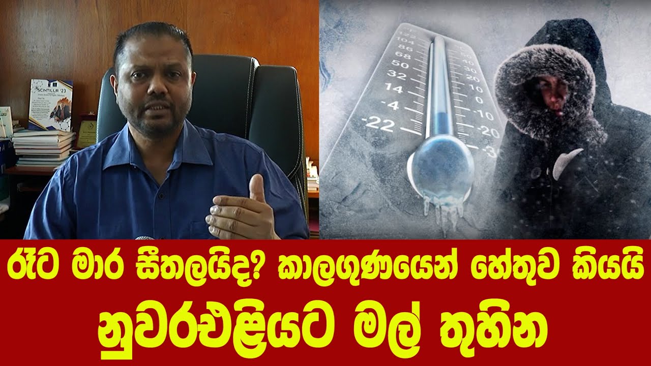 රෑට මාර සීතලයිද? කාලගුණයෙන් හේතුව කියයි - නුවරඑළියට මල් තුහින