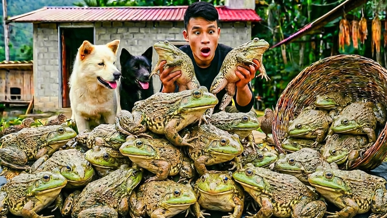 Catching Frogs at Countryside Pond | Farm Care & Cooking | Young CEO with tom and lu
