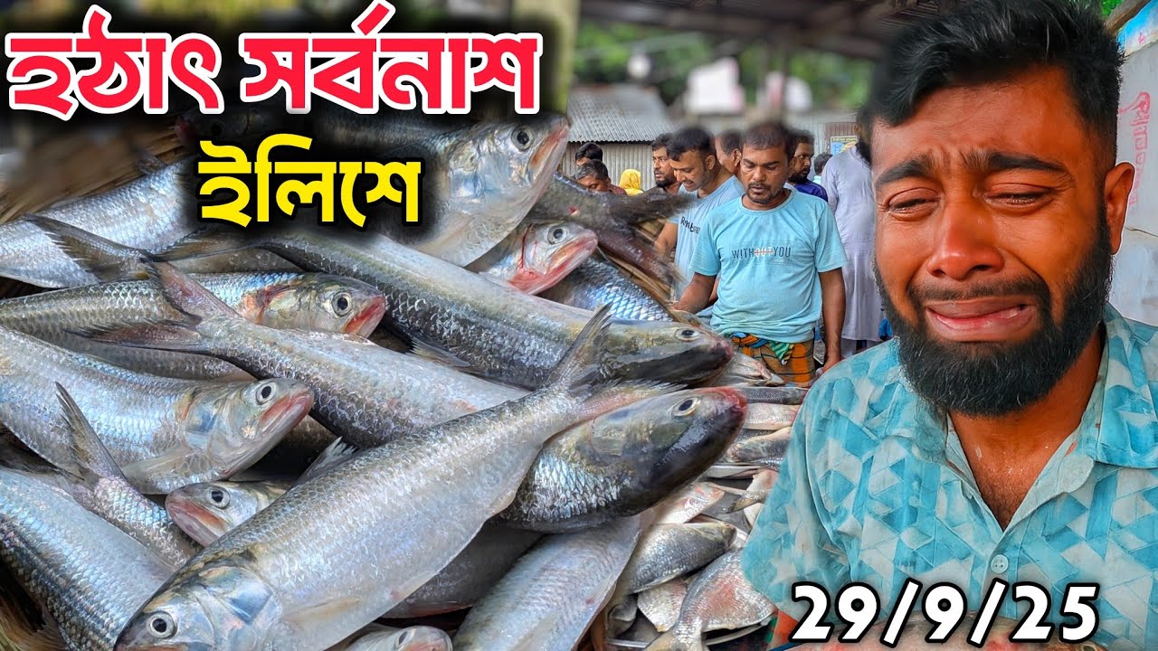 হঠাৎ পরিবর্তন ইলিশের দাম! ইলিশ নেই সারাদেশে হঠাৎ চড়া দামে বিক্রি হচ্ছে না। ilish price in Bangladesh