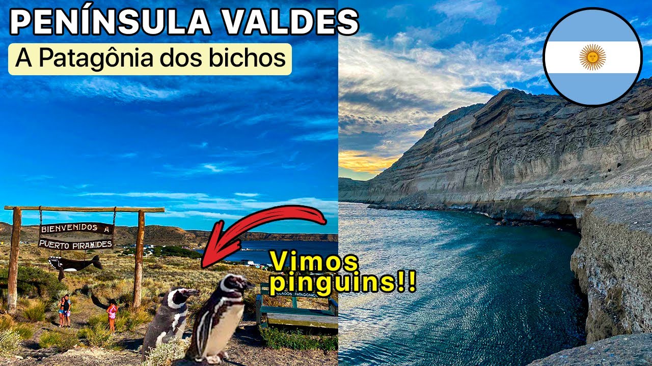 PENÍNSULA VALDES | UM PARAÍSO EXUBERANTE NA NATUREZA PATAGÔNICA - Tour completo com preços 