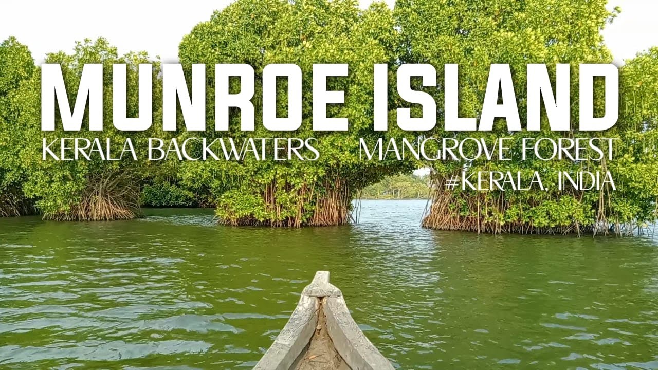 Munroe Island 🌴, Kollam, kerala #munroeisland #munrothuruth #kollam #mangrove