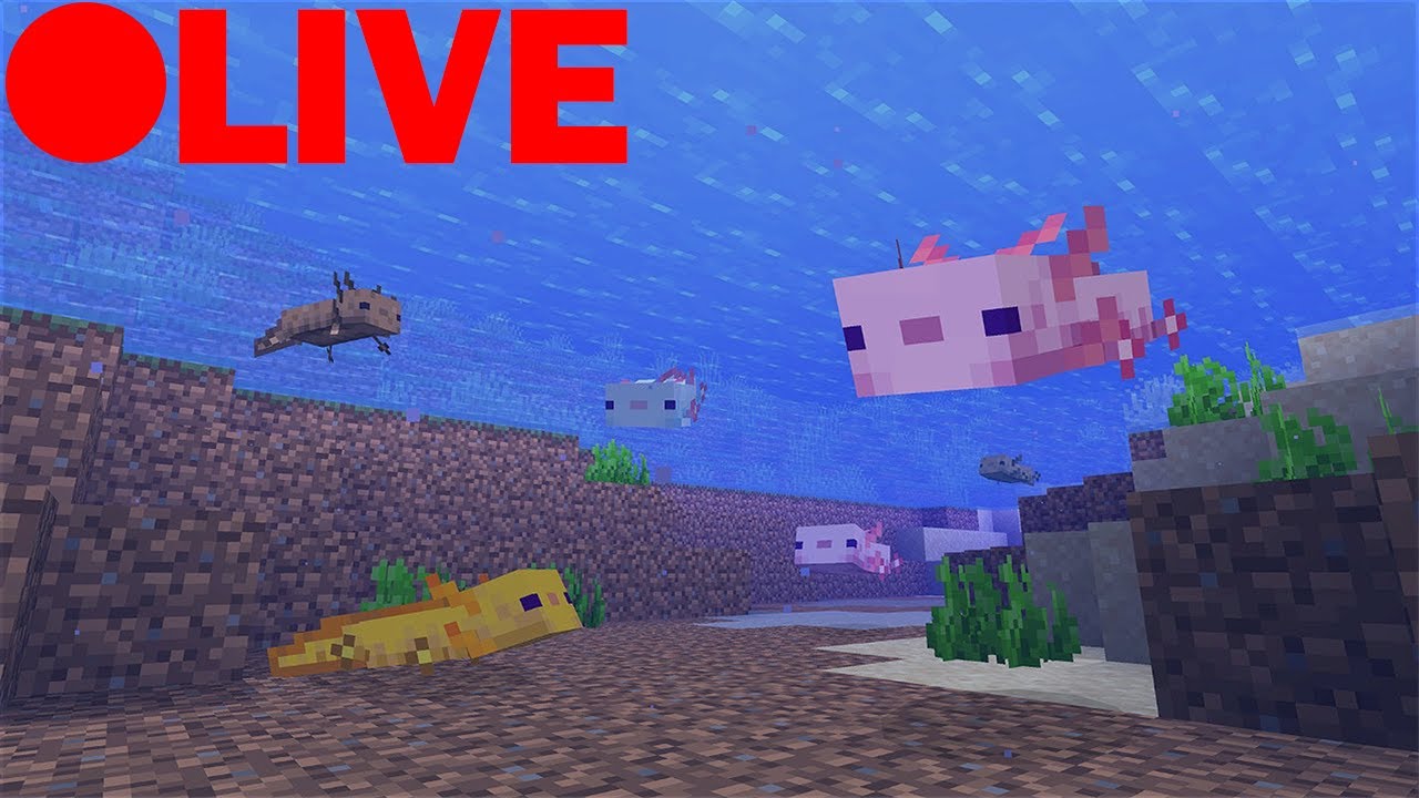sentimental minecraft stream