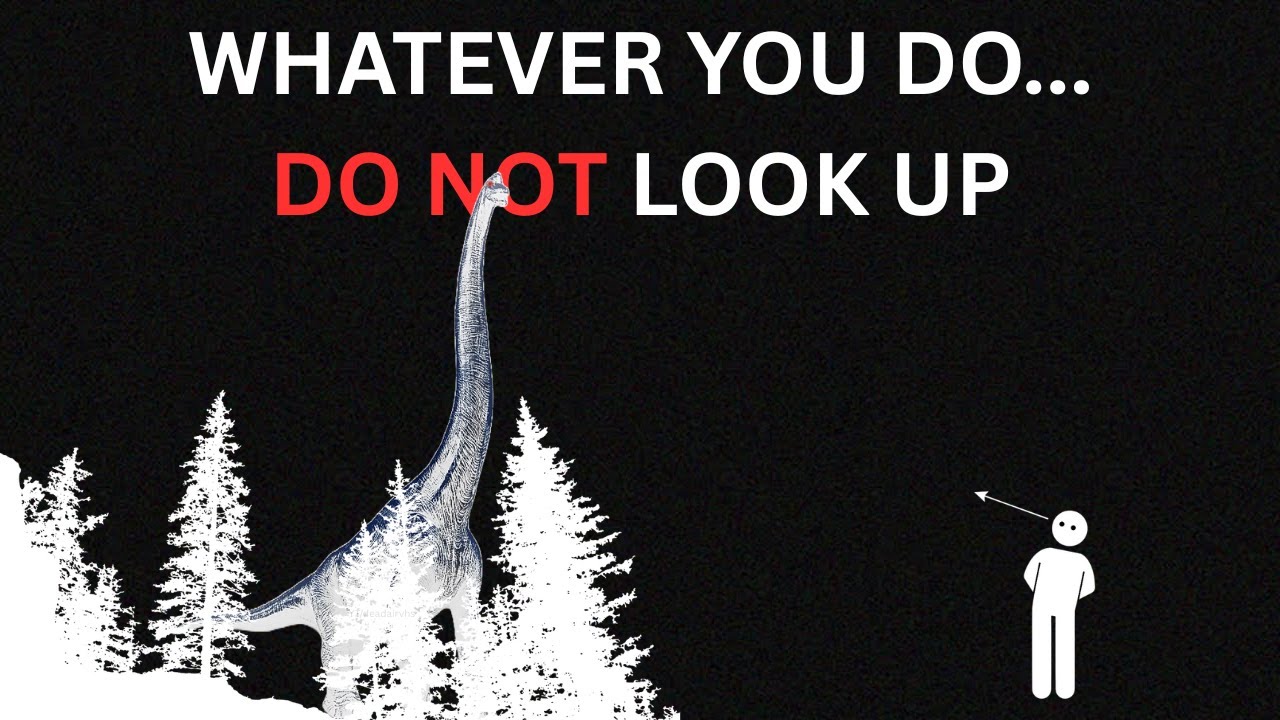 Whatever you do, DON'T LOOK UP - Analog Horror (Found Footage)