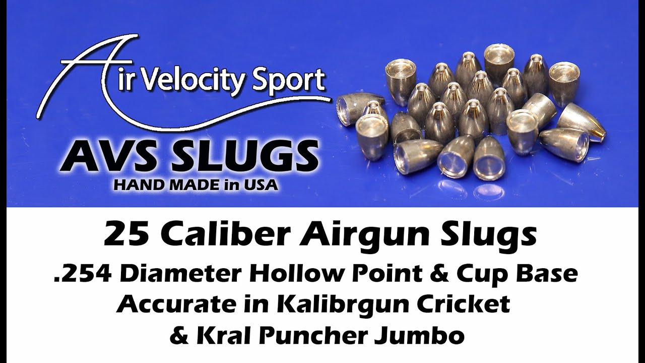 AVS 25 cal slugs (.254 Diameter) accurate in Kalibrgun Cricket & Kral Jumbo