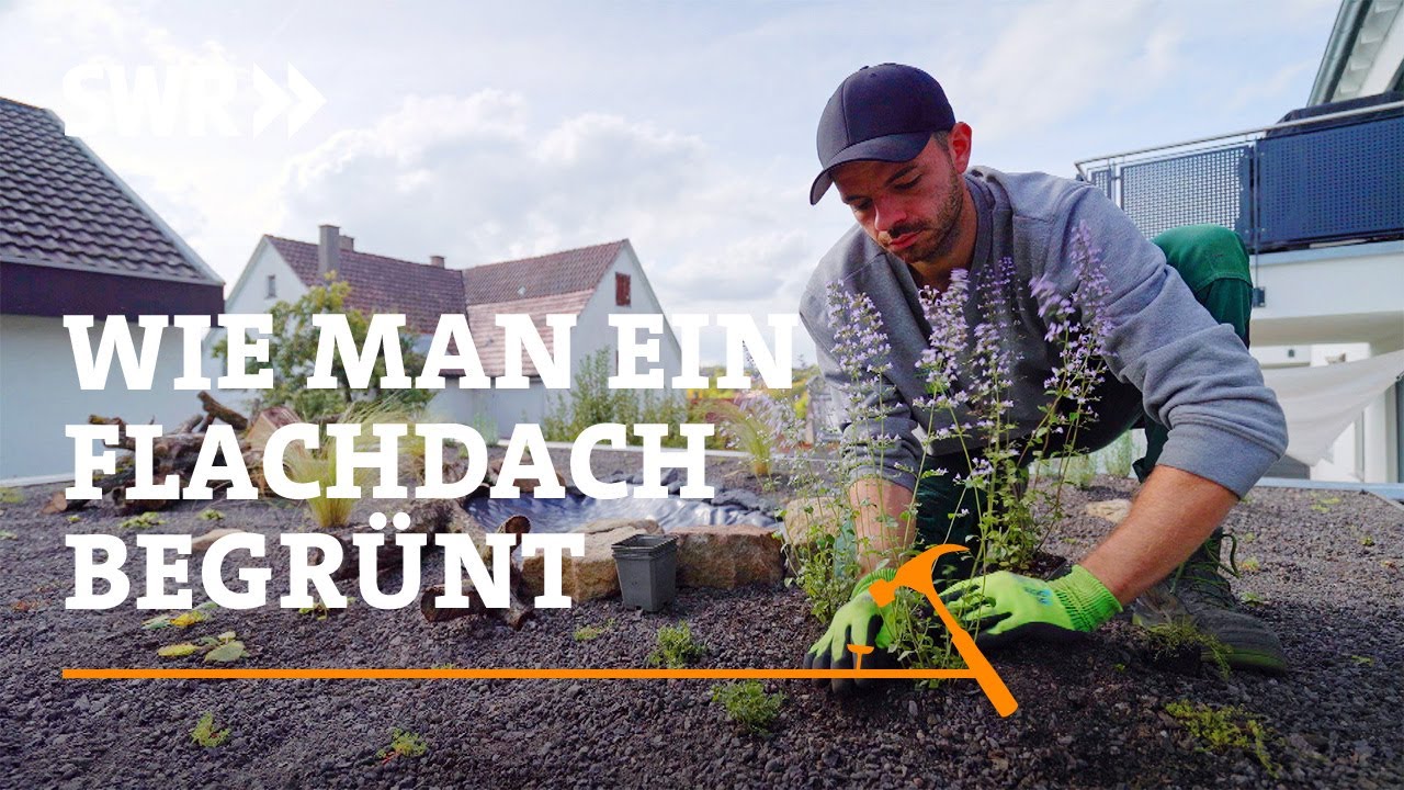 Wie man ein Flachdach begrünt | SWR Handwerkskunst