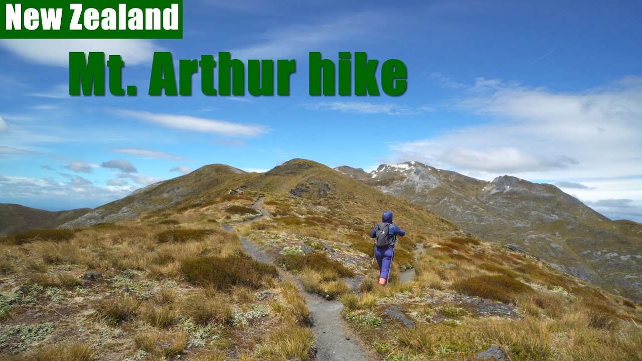 Mt Arthur hike 🇳🇿 New Zealand