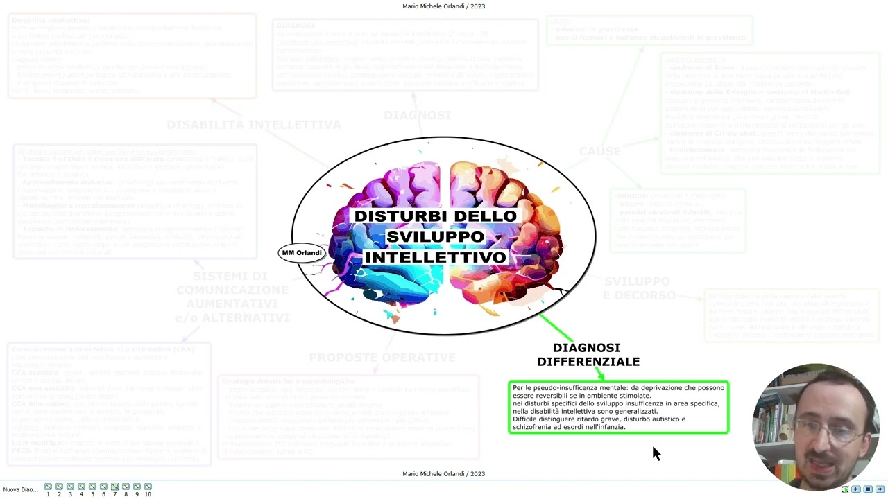 DISTURBI DELLO SVILUPPO INTELLETTIVO (Pedagogia speciale, disabilità e sostegno)