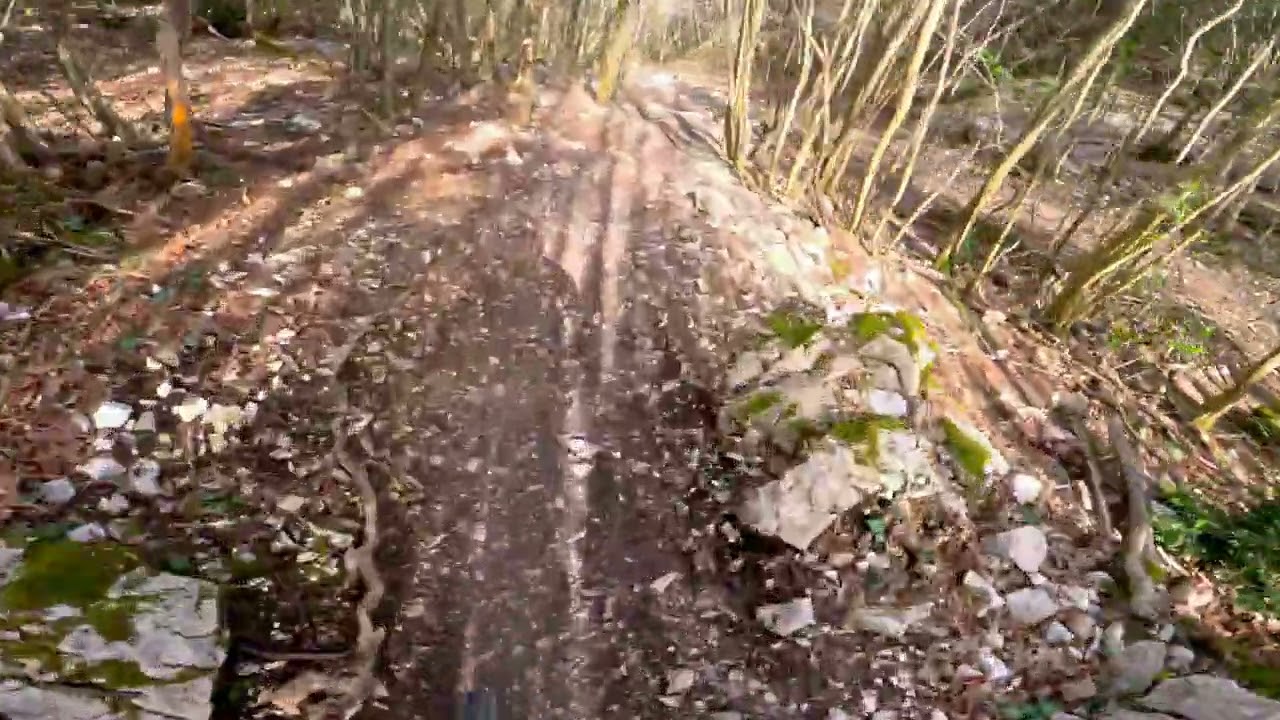 Dh San Lorenzo di Treia full