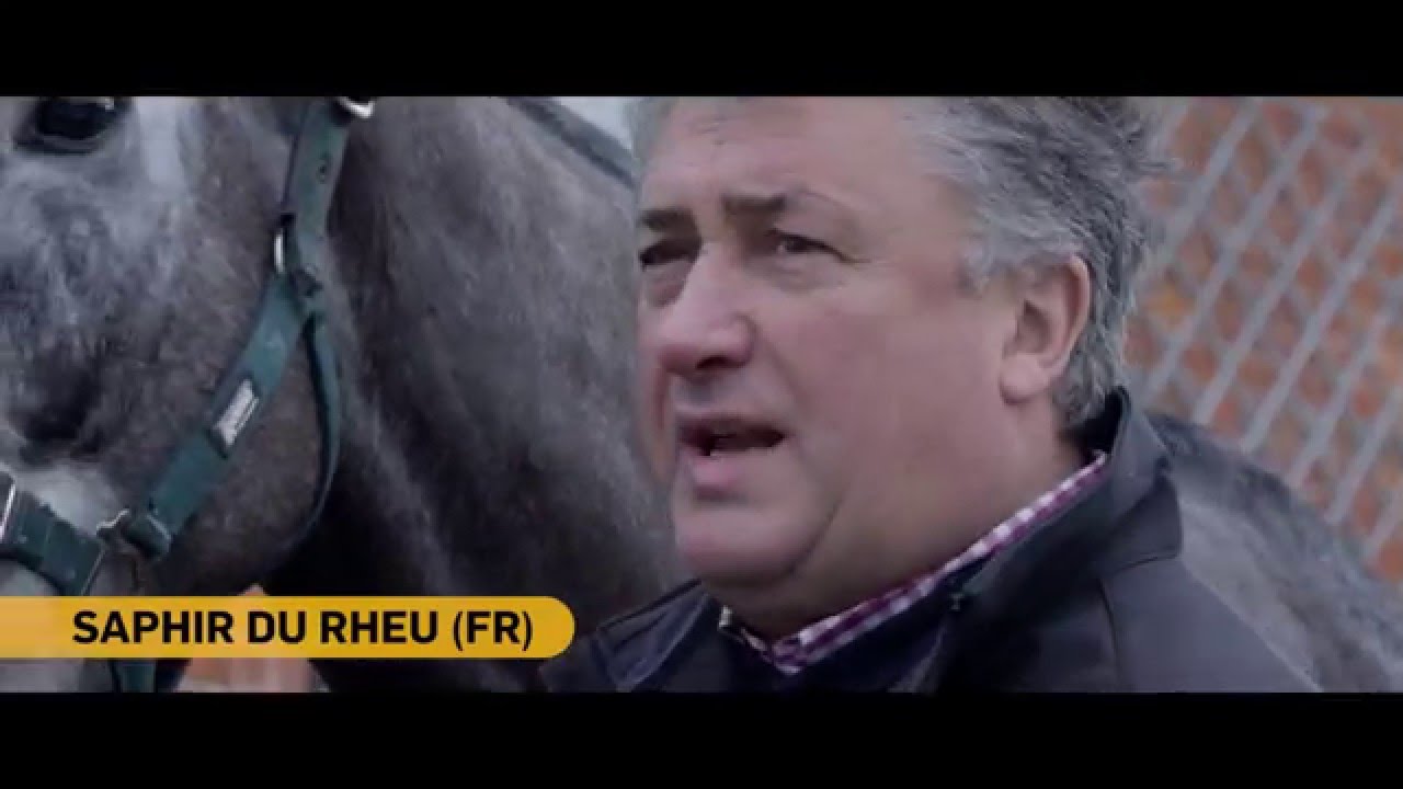 Paul Nicholls - Ascot Runners