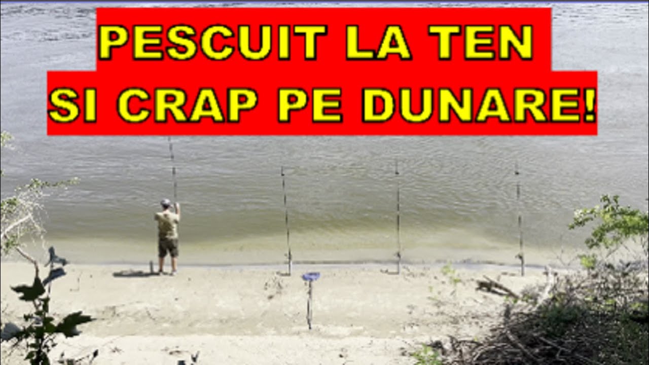 Pescuit la Ten si Crap pe Dunare! Canicula si Iarba!