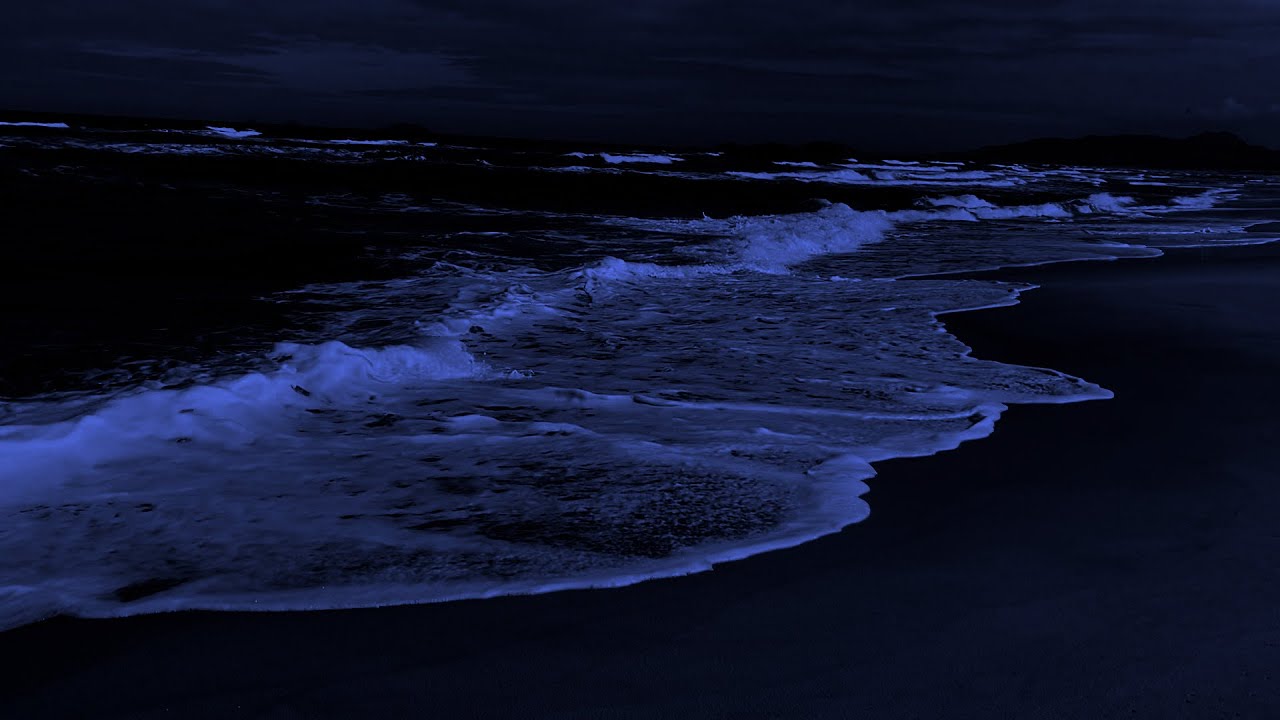 Ocean Calm 🌊 Soft Sea Waves for Deep Rest