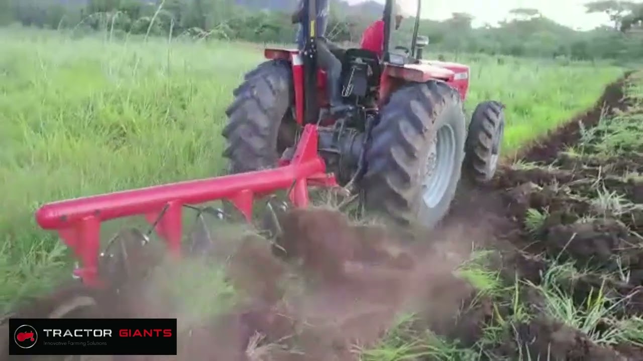 4 Disc Plough
