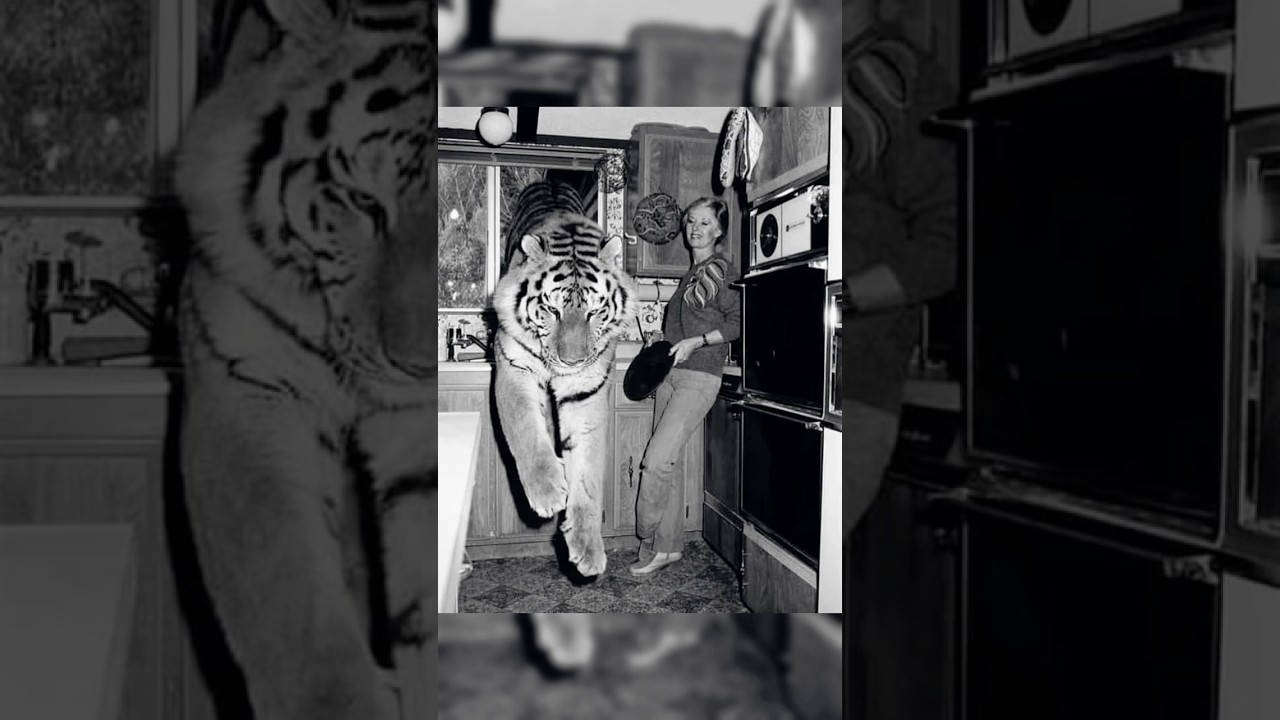 Interesting historical photos you need to see. #historicalphotos #history #facts #facts #shorts