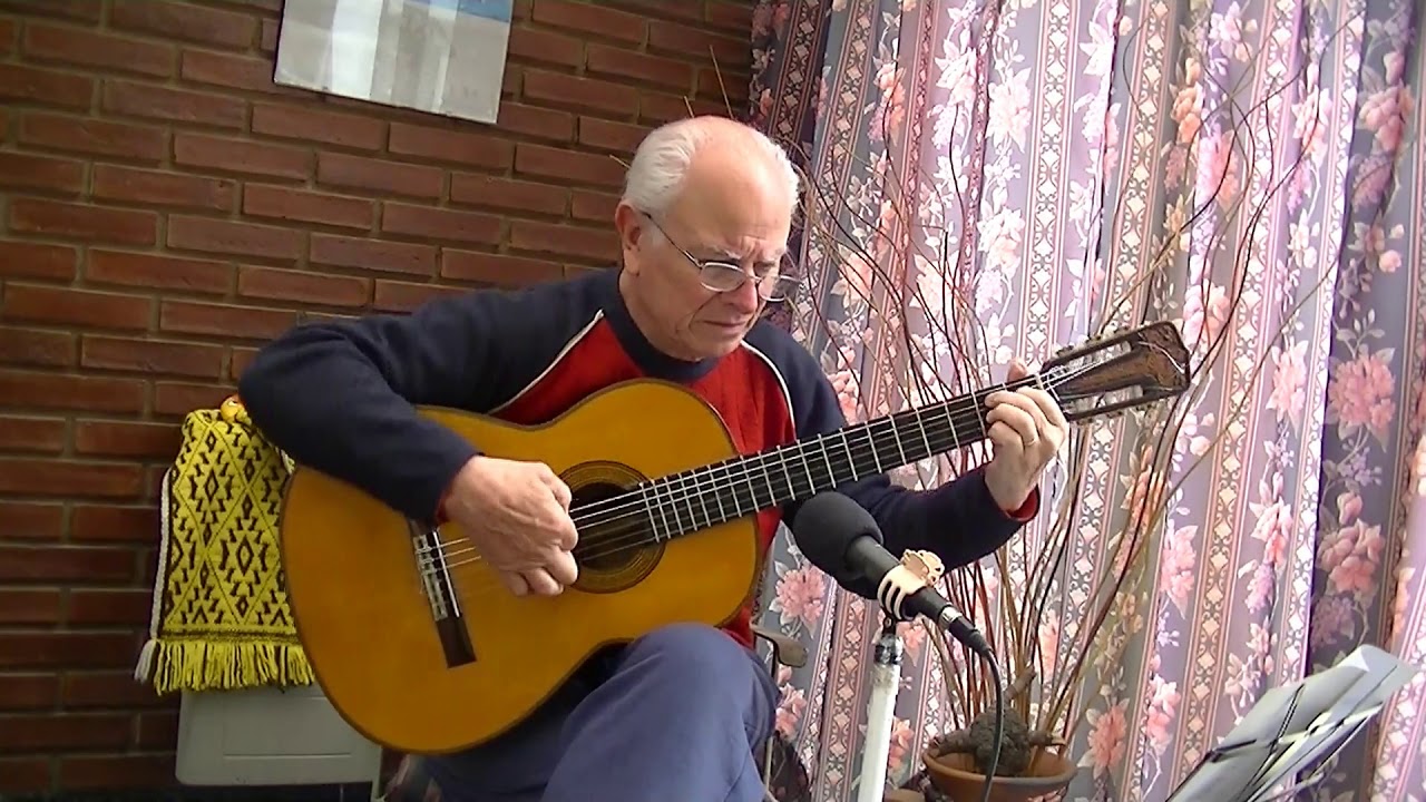 VIDALA PARA MI SOMBRA  -  RAUL CHULIVER