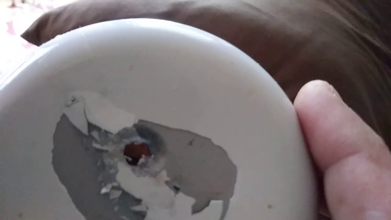 H&n Grizzly's 31 grain penetration test