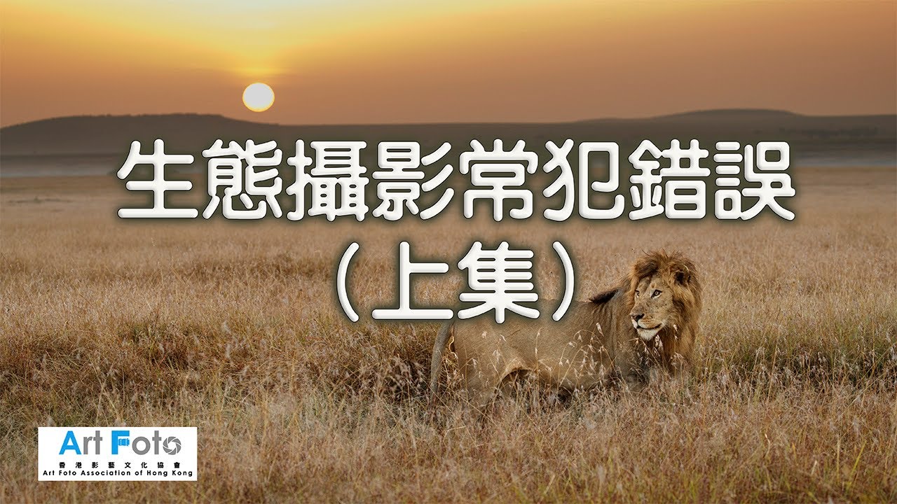 【攝影教學 #274】生態攝影常犯錯誤（上集） (CC 中文字幕) - Alex Fung FRPS, GMPSA, EFIAP/p