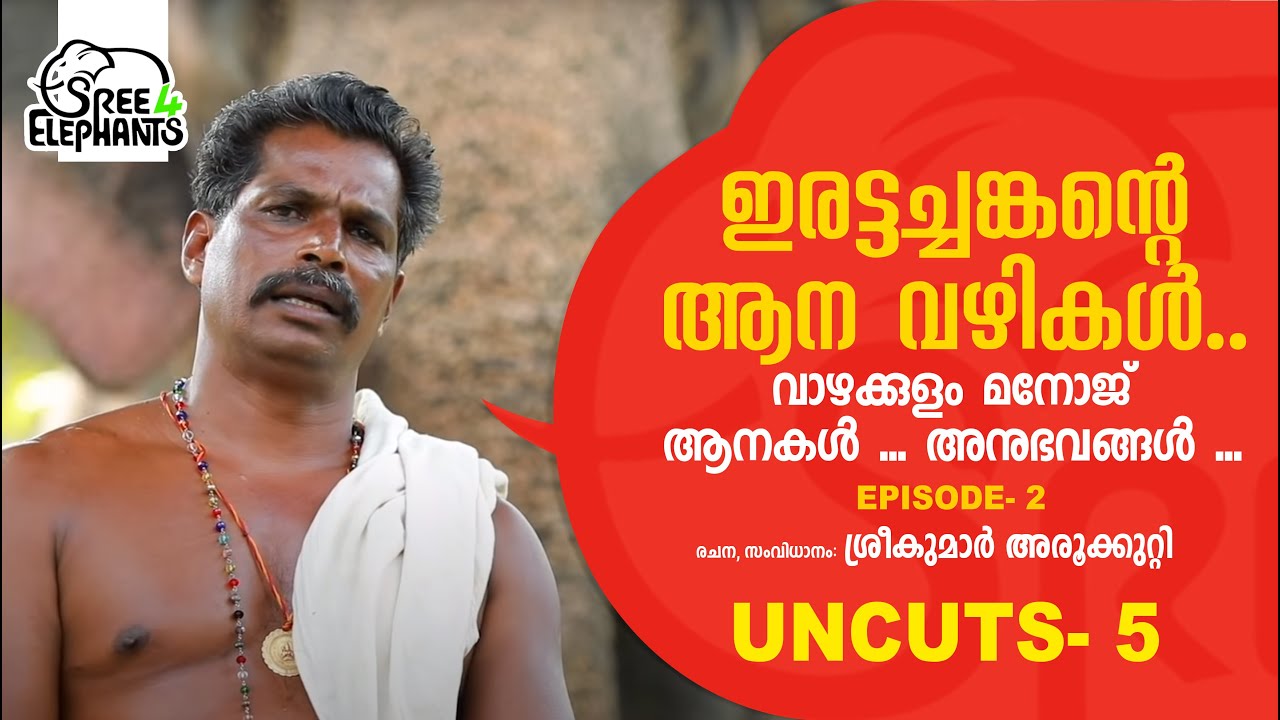 സിനിമയ്ക്ക് വേണ്ടിയായാലും മുട്ടുചങ്ങല തട്ടില്ല...! | Vazhakulam Manoj | Umamaheswaran Elephant