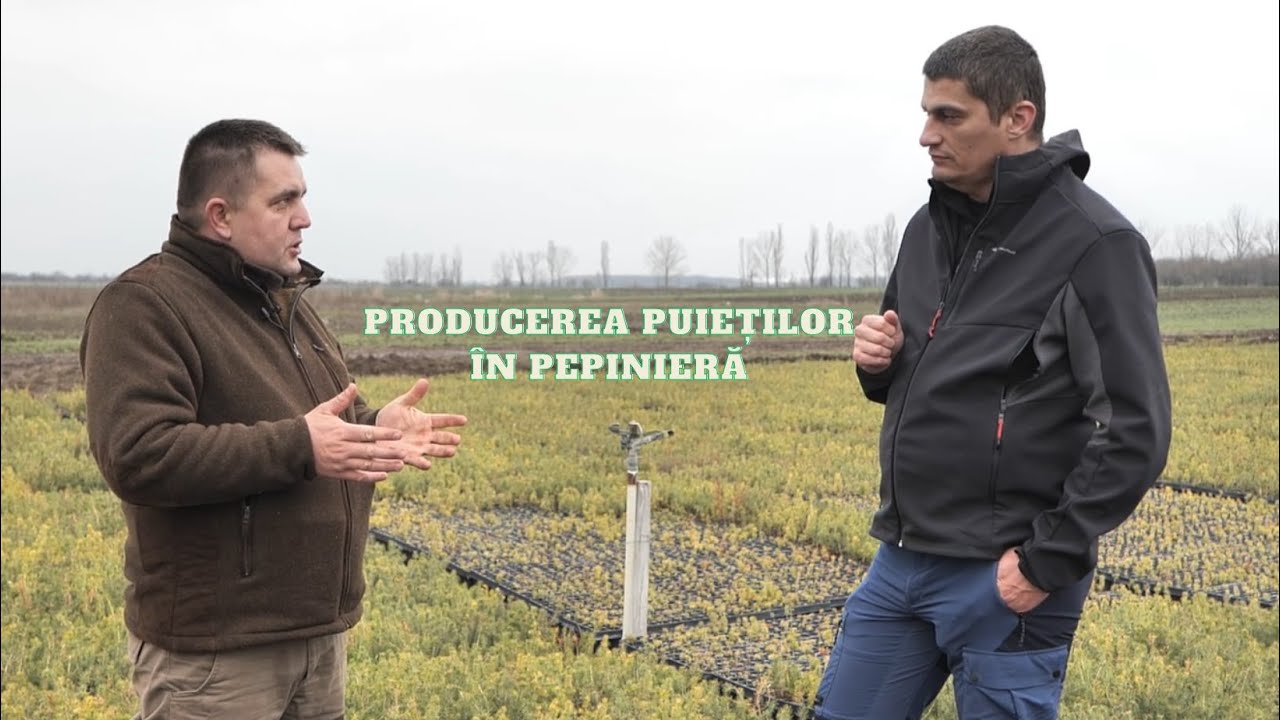 🌳De vorbă despre păduri. Ep. 14: Producerea puieților în pepinieră (invitat: Marian Mechenici)