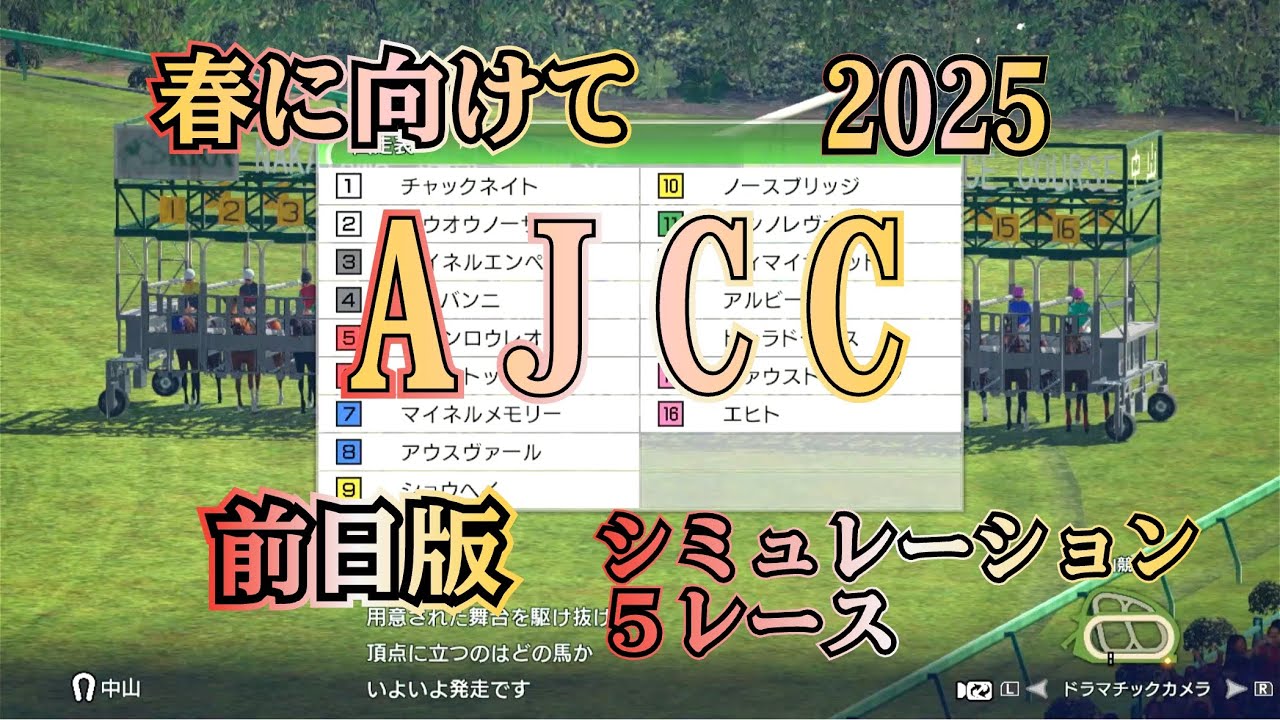 AJCC アメリカジョッキーズカップ 2025 G2 前日版 シミュレーション 5レース