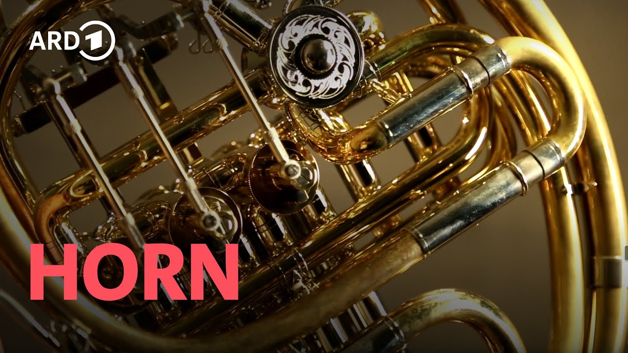 Horn | Horst Ziegler | Instrumente im Symphonieorchester | ARD Klassik
