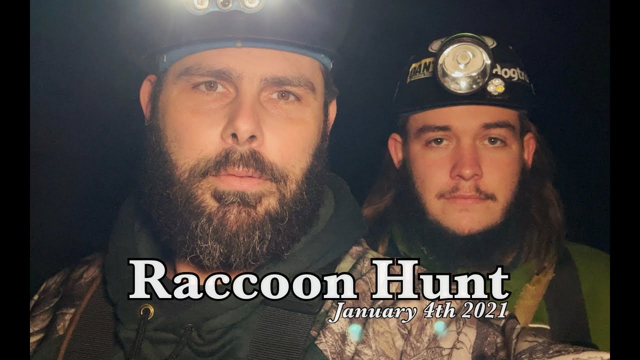 Raccoon Hunt, Jan/4/2021 Kentucky Cooner
