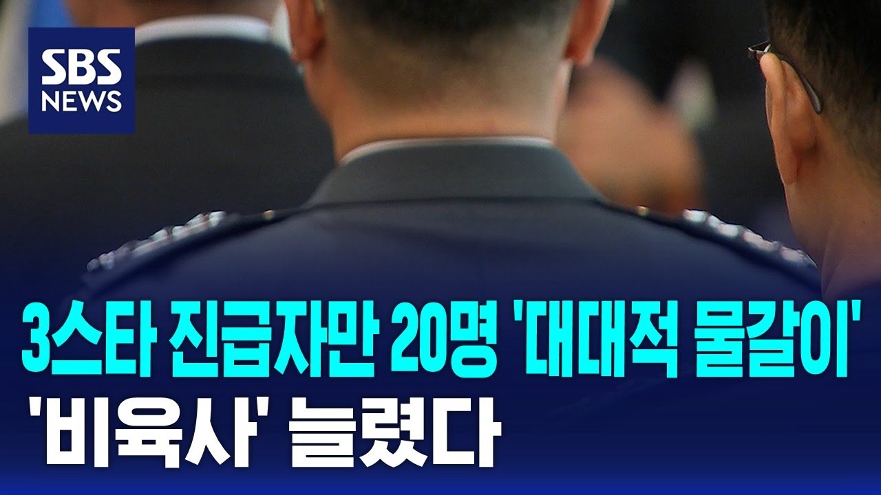 3스타 진급자만 20명 '대대적 물갈이'…'비육사' 늘렸다 / SBS