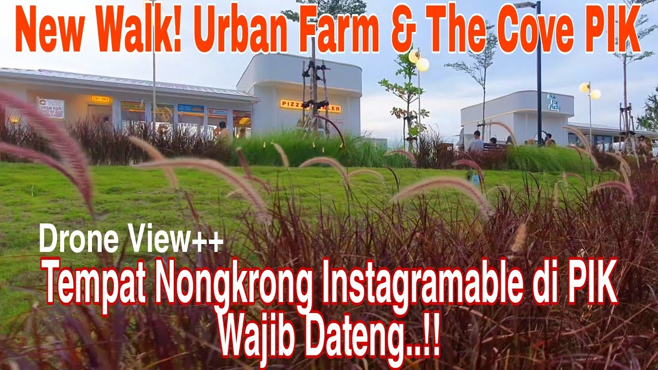 Urban Farm PIK dan Cove Batavia PIK 2 Tempat Nongkrong Instagramable Estetik di PIK | Walk Virtual
