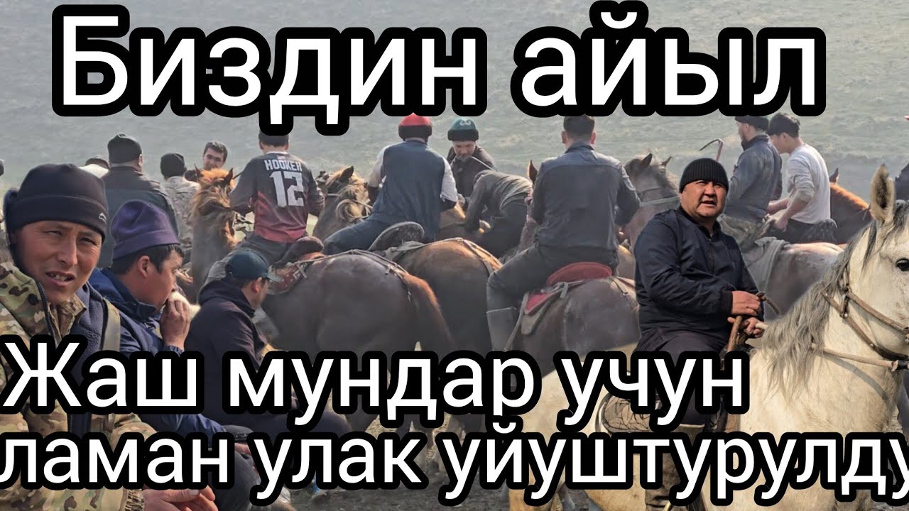 Бүгүн 17 февраль 2026 жаш мундар үчүн Аламан улак уйуштурулду #аламанулак #ноокен #мамбекоф #таштак 