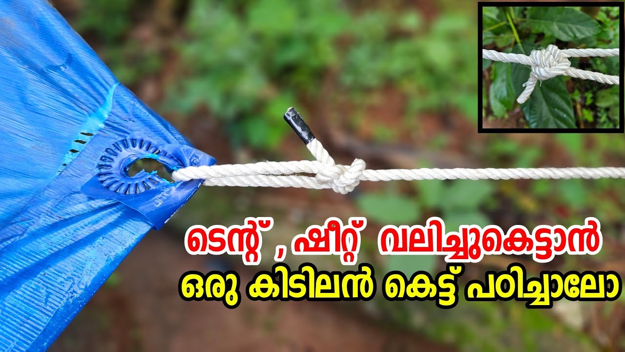 ടെന്റ് , ഷീറ്റ്  വലിച്ചുകെട്ടാൻ ഒരു കിടിലൻ കെട്ട് പഠിച്ചാലോ | Knot | Rope tricks #knot #ropetrick