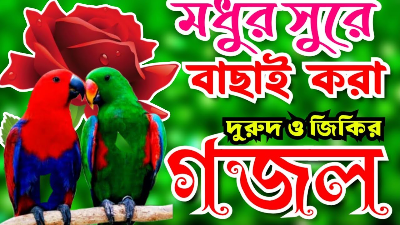 মধুর সুরে সেরা মায়াবী কন্ঠে ৫টি গজল। New Islamic songs।দুরুদ শরীফ। জিকির। Bangla Islamic Gojol