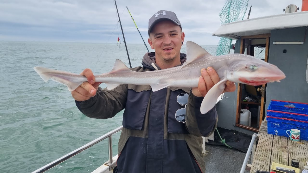Boat fishing for Smooth-hound| Chloe-Joe charter boat| Fishyouwerehere collab