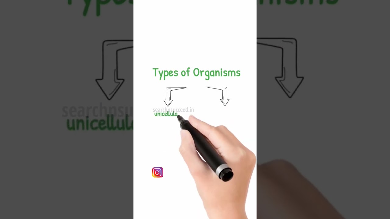 Types of Organisms, types of cells #prokaryotes #eukaryote #cellstructure  #class12 #biology