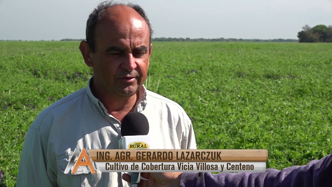 Cultivo de Cobertura Vicia Villosa y Centeno Ing Agr Gerardo Lazarczuk segunda parte