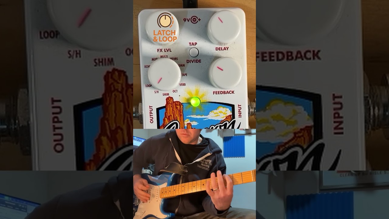 EHX Canyon Sample and Hold Demo | Glitch Delay Pedal #guitarpedals #guitar