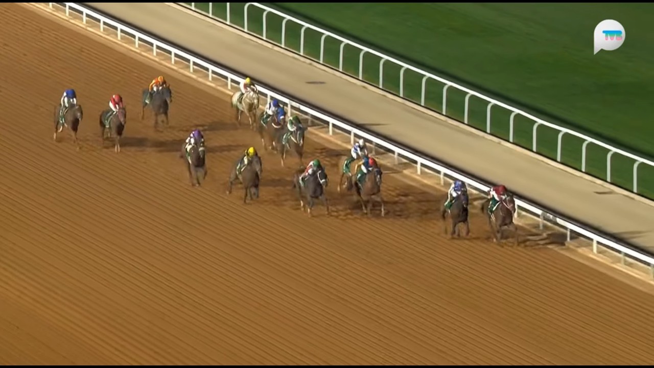 沙特阿拉伯沙特盃 Saudi Cup 一級賽 G1 1800m 2026-02-15 青春永駐 Forever Young 安都拉茲馬場 King Abdulaziz Racecourse