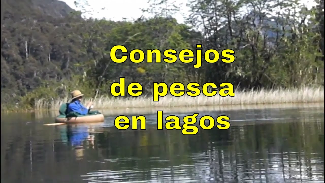 Consejos teóricos de pesca con mosca en lagos, lagunas o aguas quietas