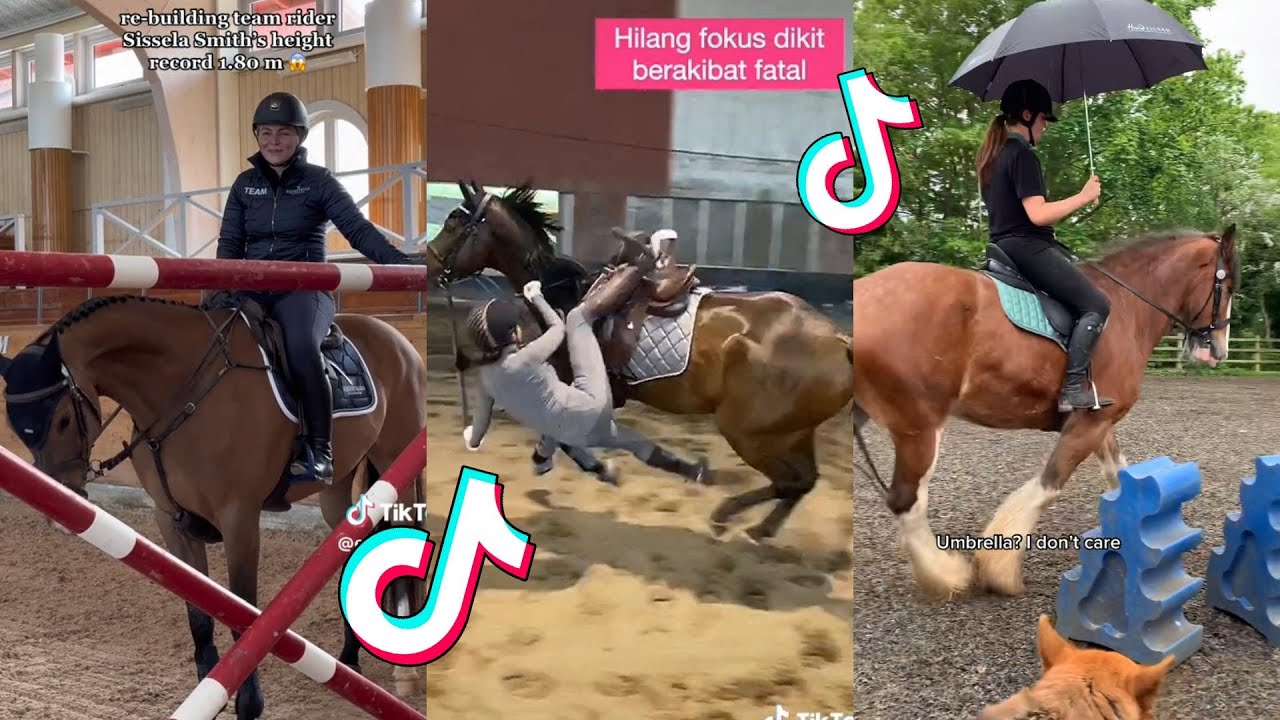 The Cutest HORSES Equestrian TikTok Compilation #132
