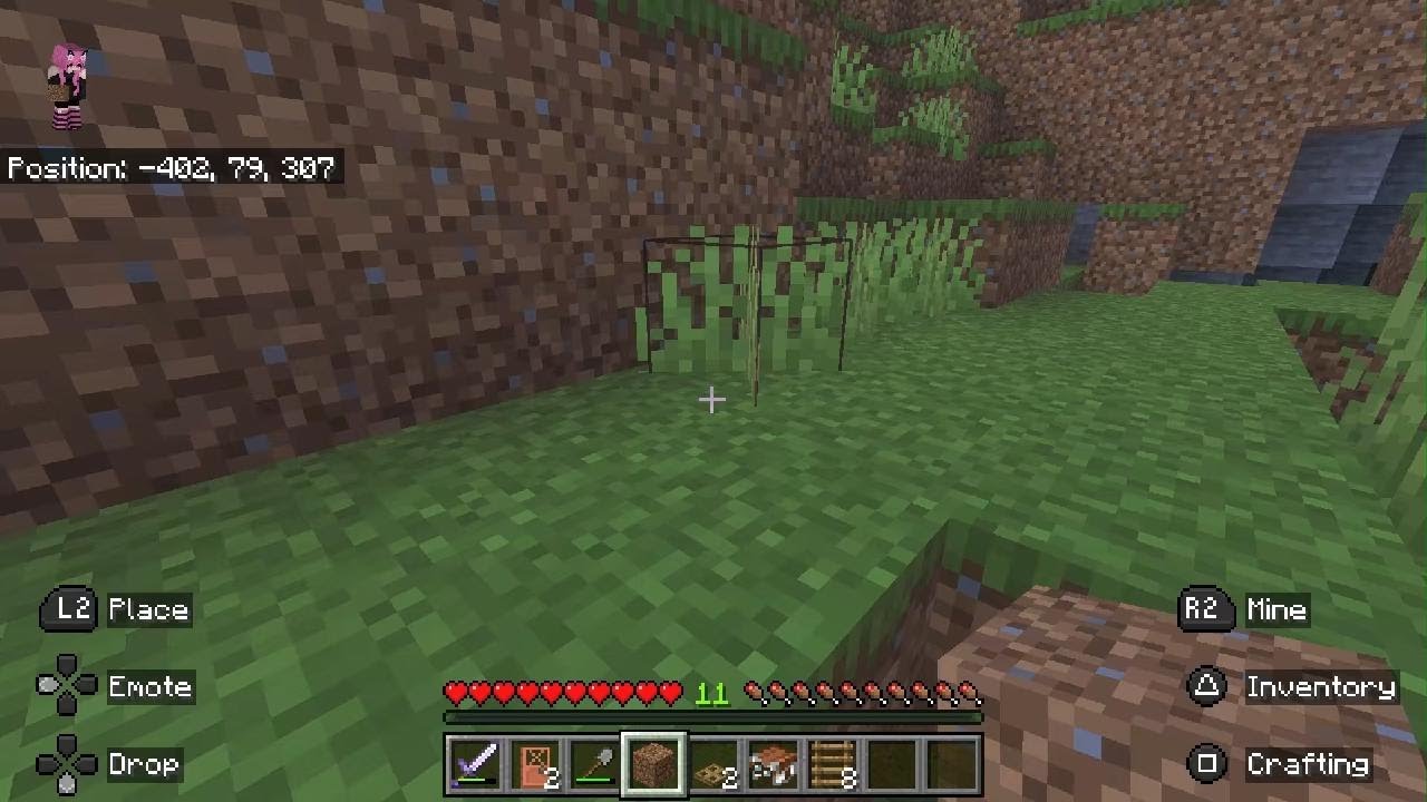 Minecraft