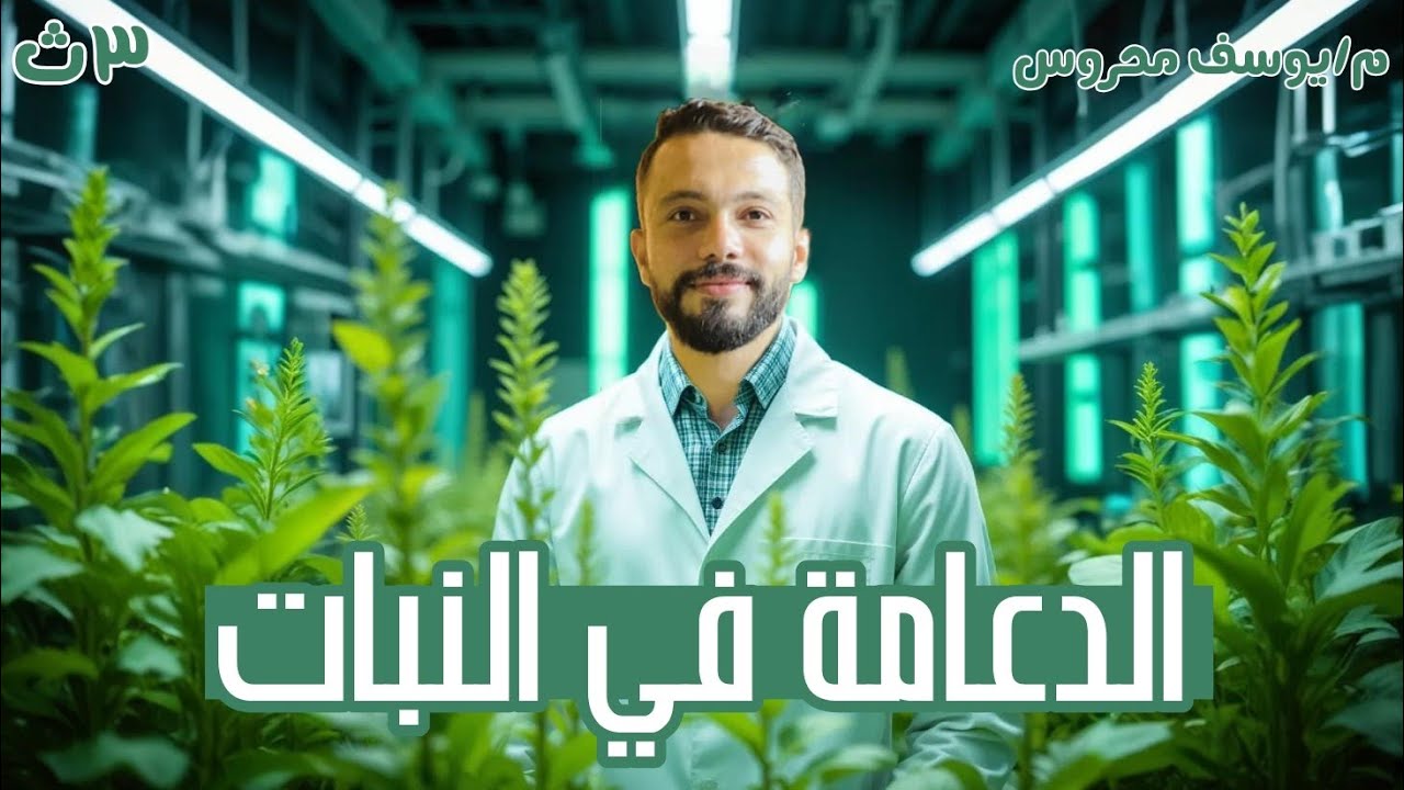 الدعامة في النبات 🌿 | المحاضرة الأولى مع مستر يوسف محروس | أحياء تالتة ثانوي 2026