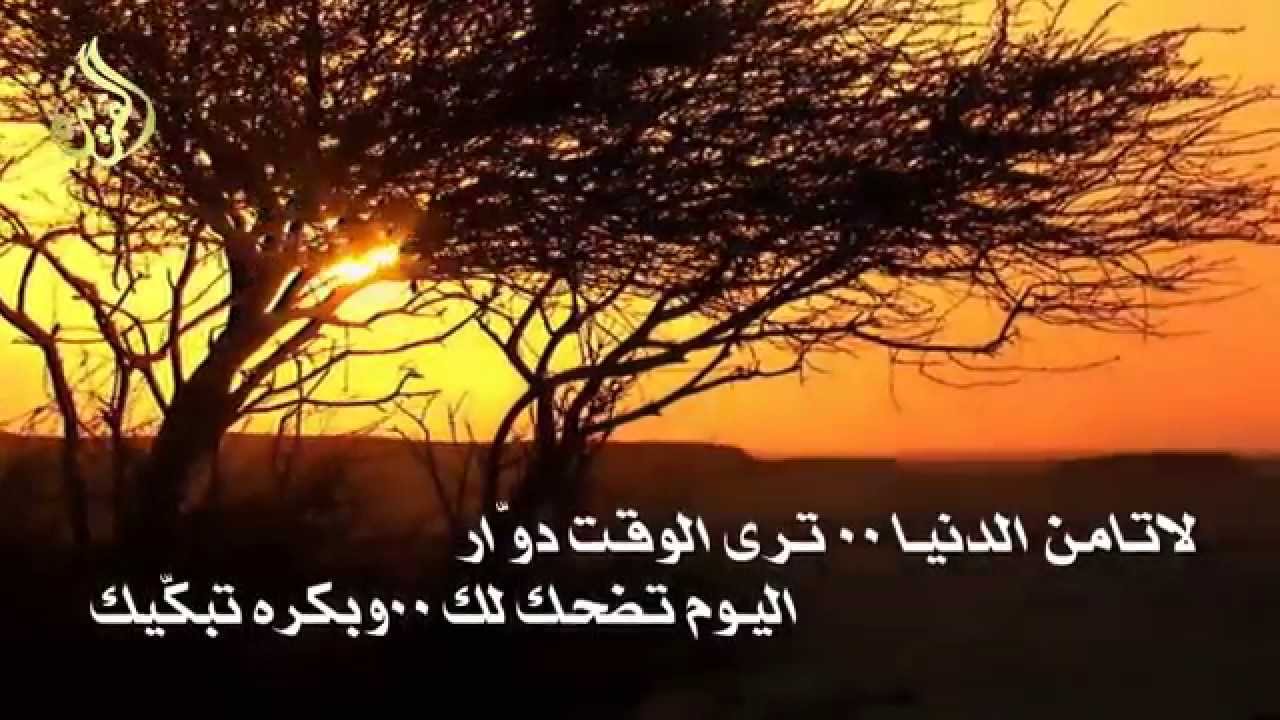 شيلة لاتامن الدنيا كلمات الشاعر فواز مزيد الحنيني وأداء نايف الغربي