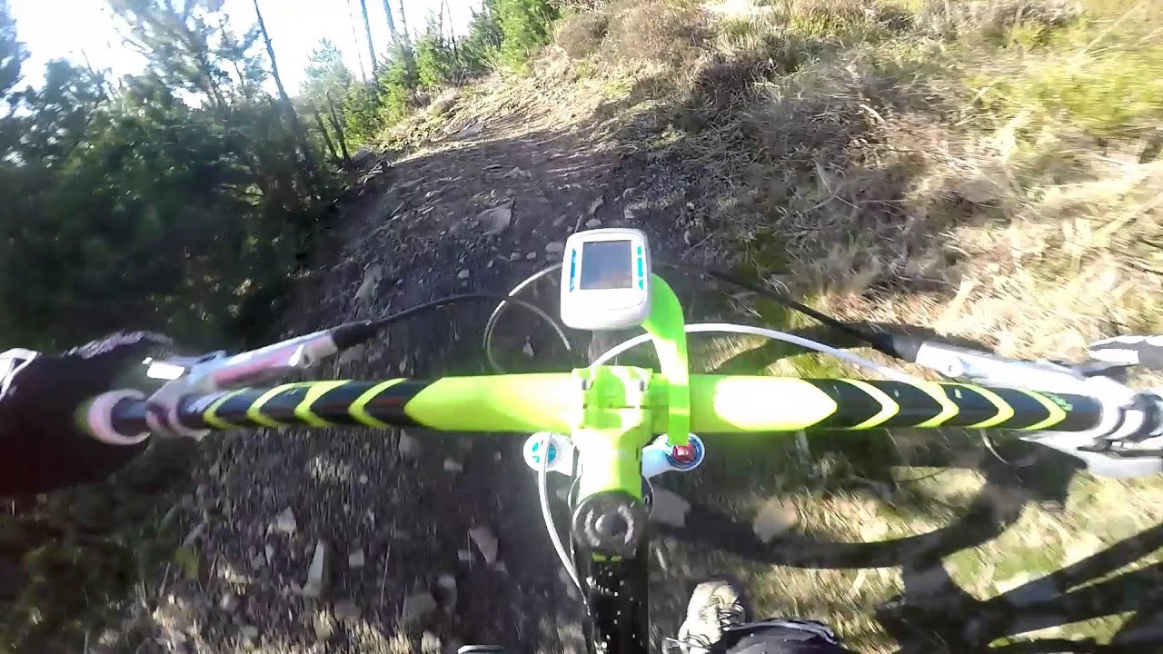Afan Forest Park